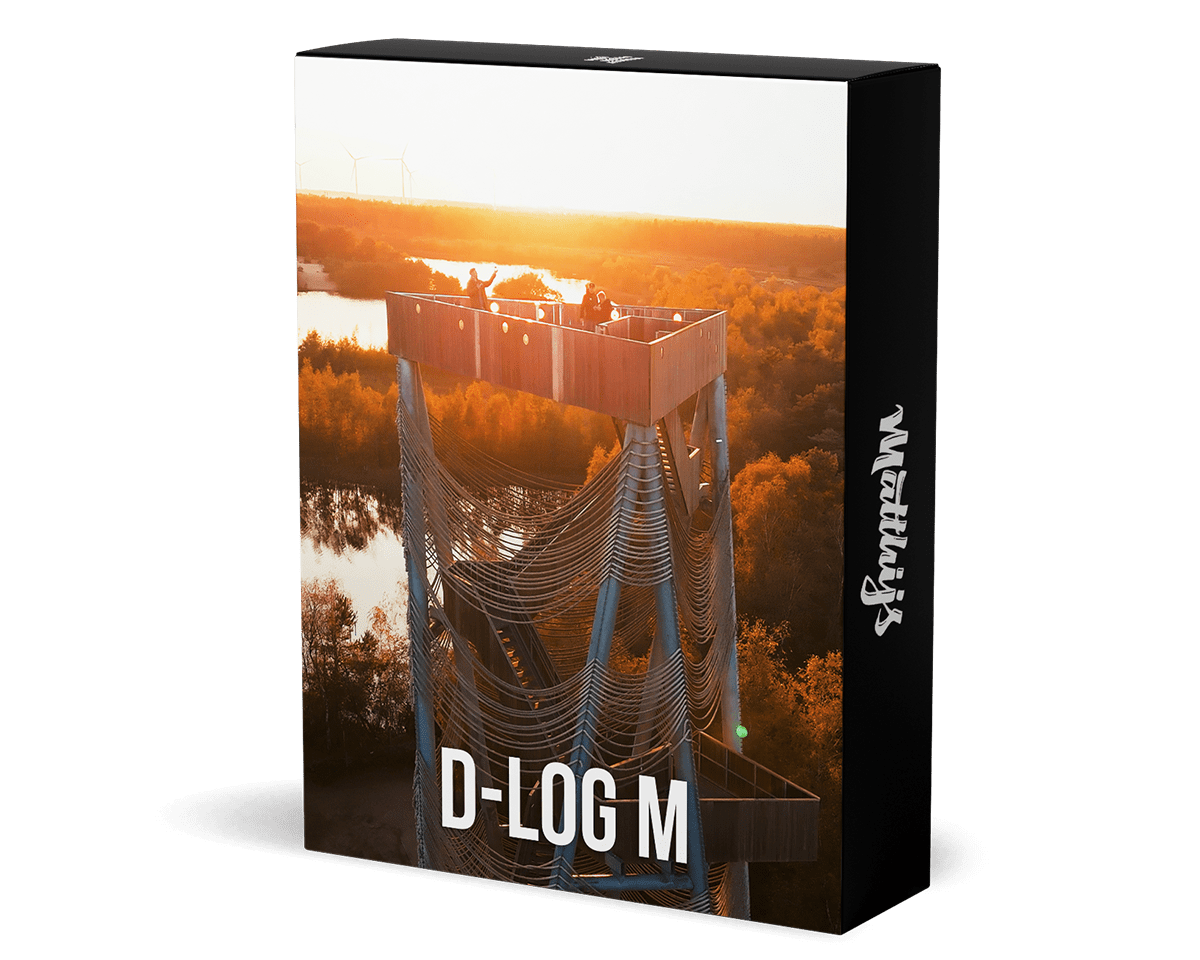 D-Log M LUT